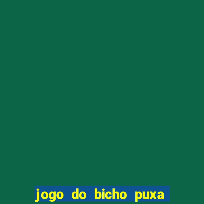 jogo do bicho puxa de dona maria